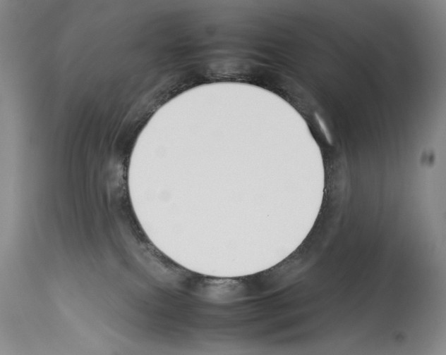 X0000113930087200911061228