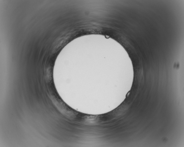 X0000113930088200911061228