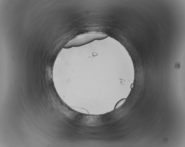 X0000113930089200911061228