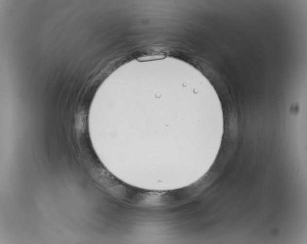 X0000113930090200911061228
