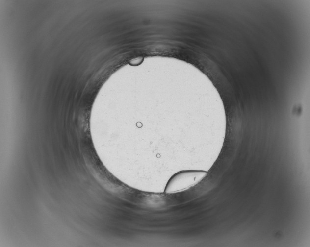 X0000113930091200911061228