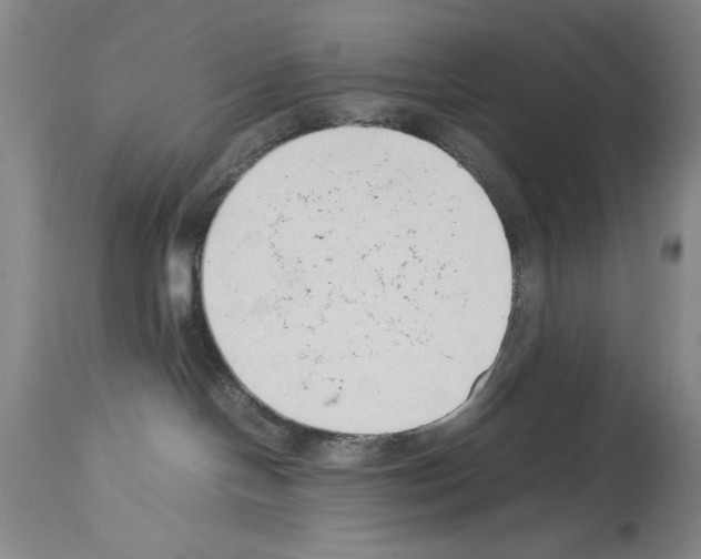 X0000113930094200911061228