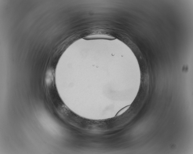 X0000113930095200911061228