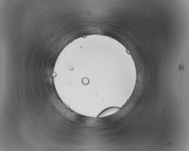 X0000113930096200911061228