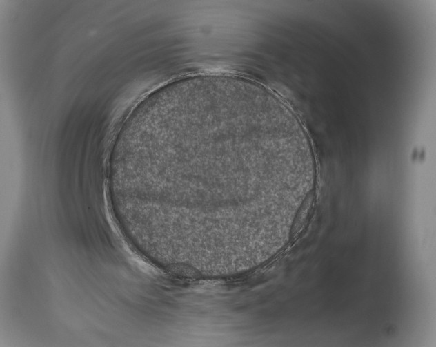 X0000113930097200911061228