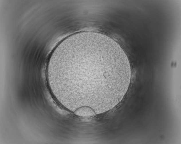 X0000113930098200911061228