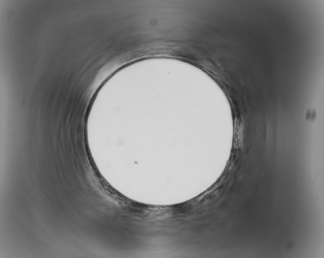 X0000113930099200911061228