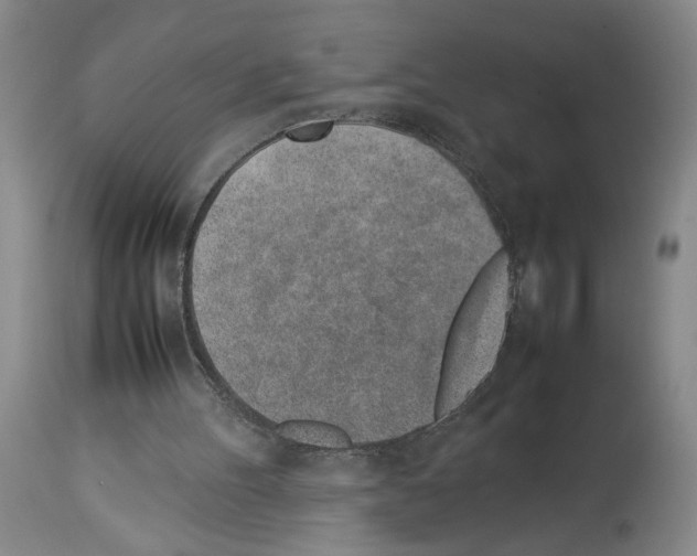 X0000113930100200911061228