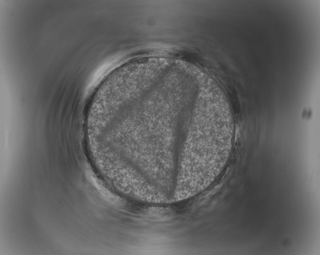 X0000113930101200911061228