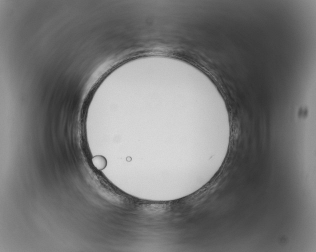 X0000113930102200911061228