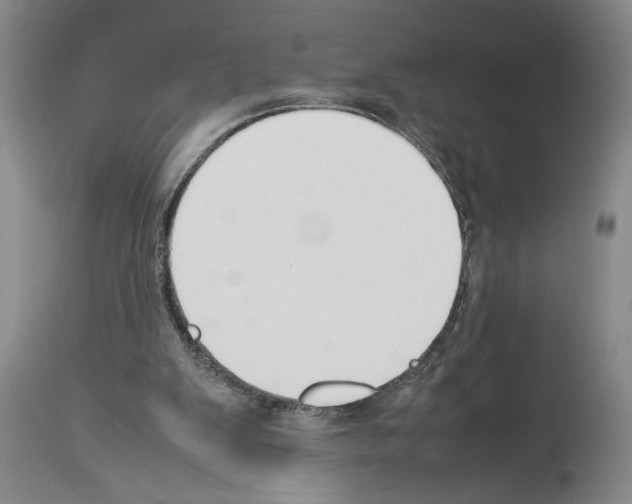 X0000113930103200911061228