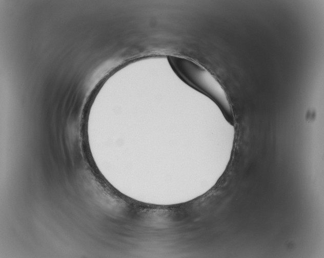X0000113930104200911061228