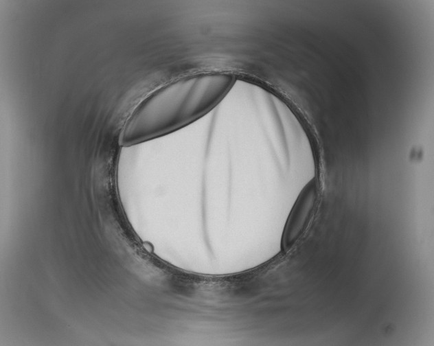 X0000113930105200911061228