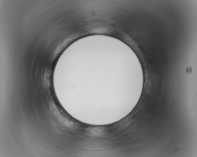 X0000113930106200911061228
