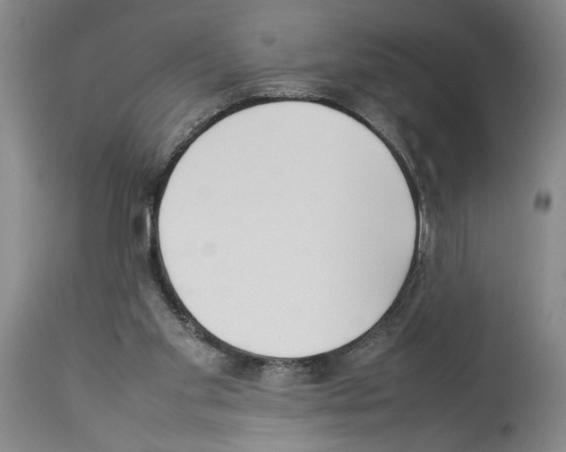 X0000113930109200911061228