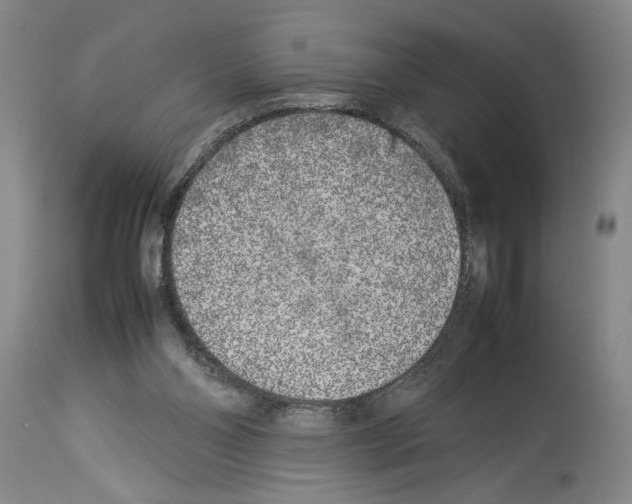 X0000113930110200911061228