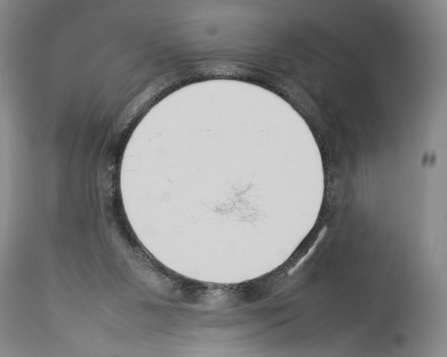 X0000113930111200911061228