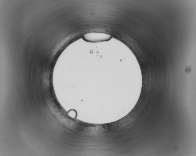 X0000113930112200911061228
