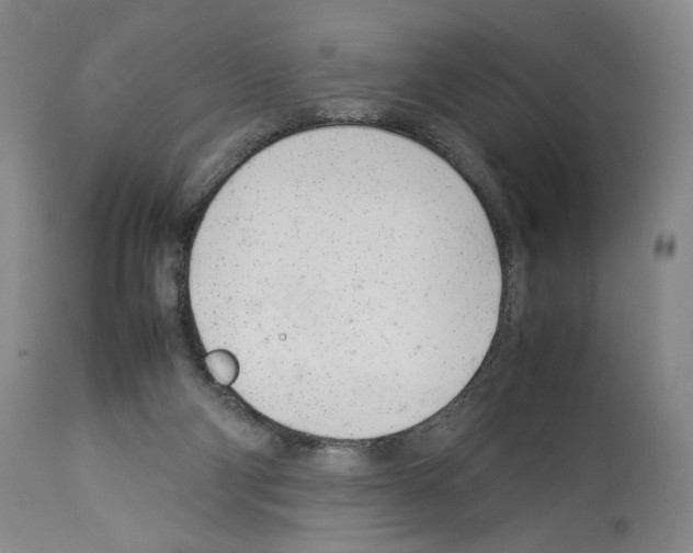 X0000113930114200911061228