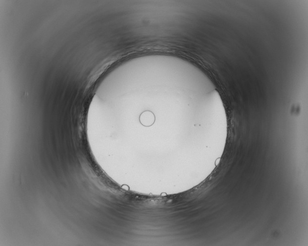 X0000113930116200911061228