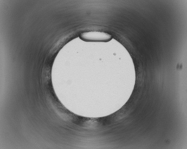 X0000113930119200911061228