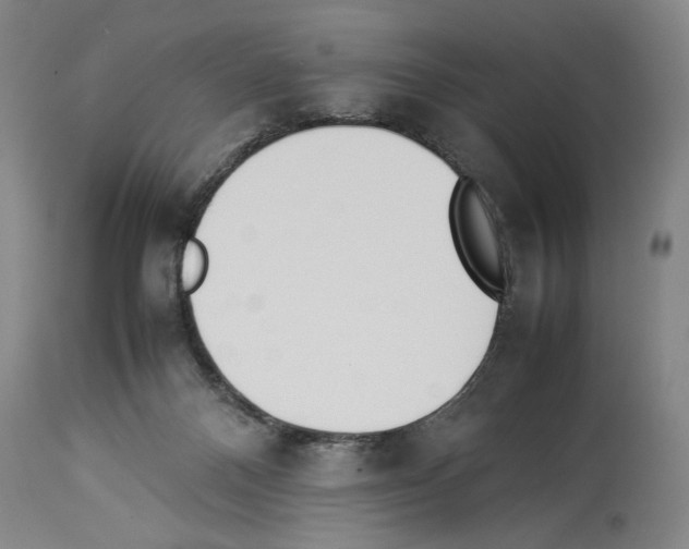 X0000113930120200911061228