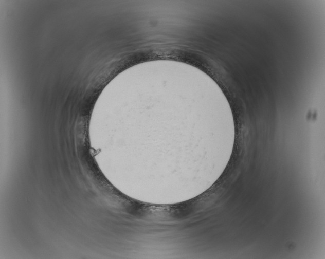 X0000113930121200911061227