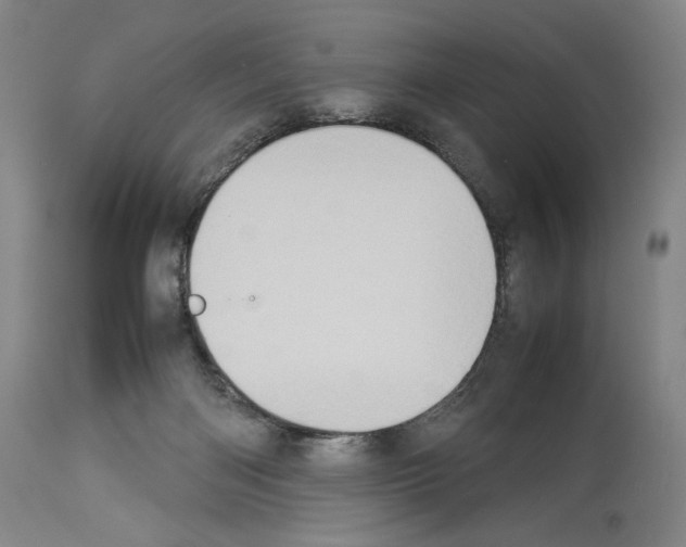 X0000113930122200911061227