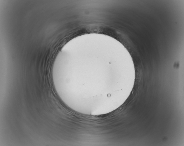 X0000113930125200911061227