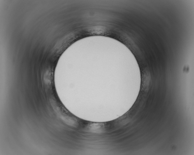 X0000113930126200911061227