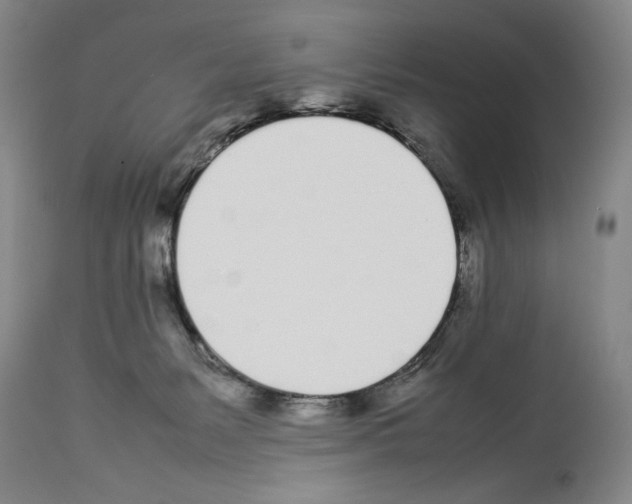 X0000113930127200911061227