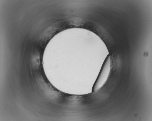 X0000113930128200911061227