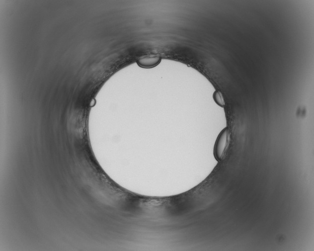 X0000113930129200911061227