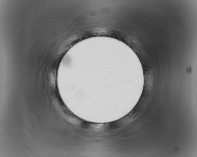 X0000113930131200911061227
