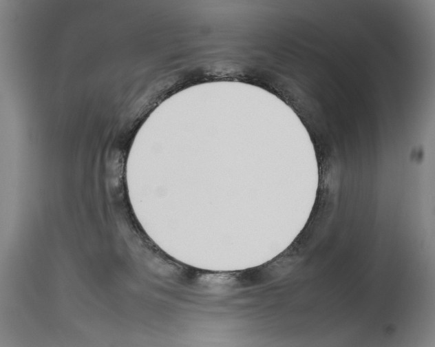 X0000113930133200911061227