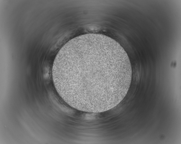 X0000113930134200911061227