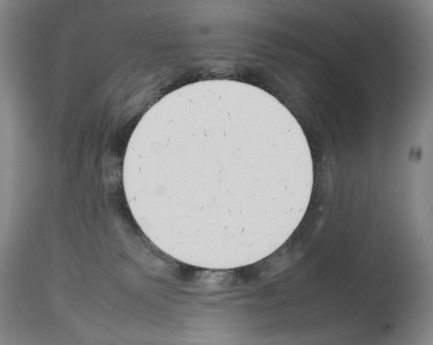 X0000113930135200911061227