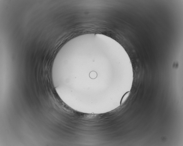 X0000113930136200911061227