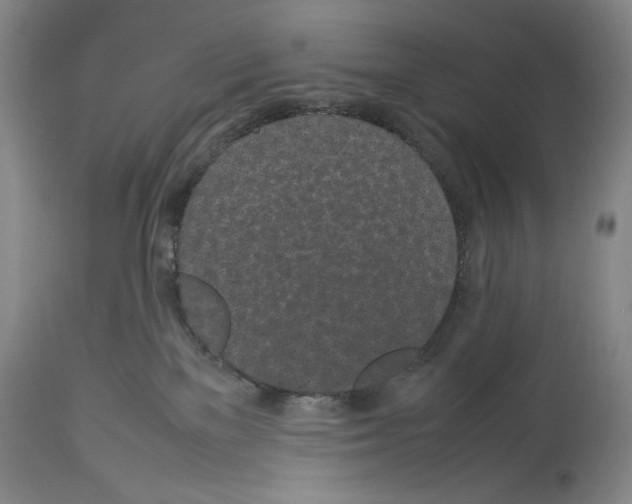 X0000113930137200911061227