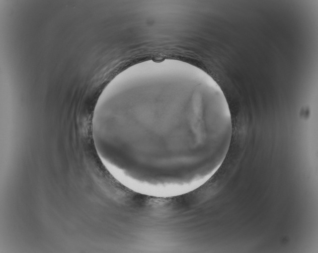 X0000113930139200911061227