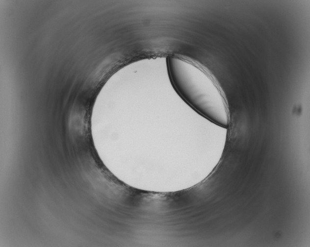 X0000113930140200911061227