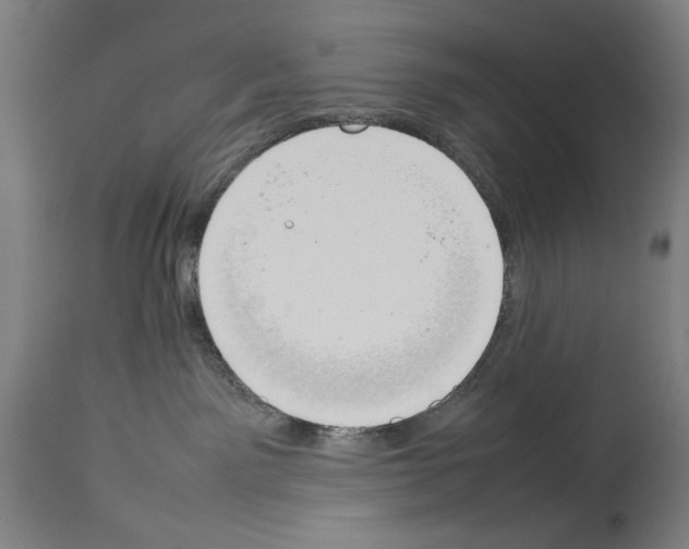X0000113930141200911061227
