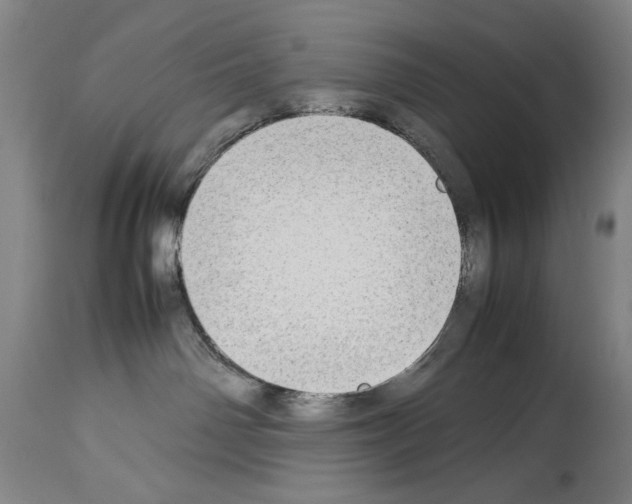 X0000113930142200911061227