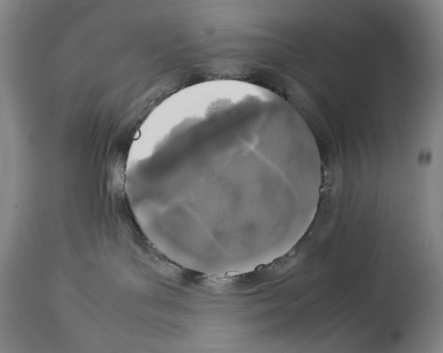 X0000113930143200911061227