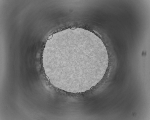 X0000113930144200911061227