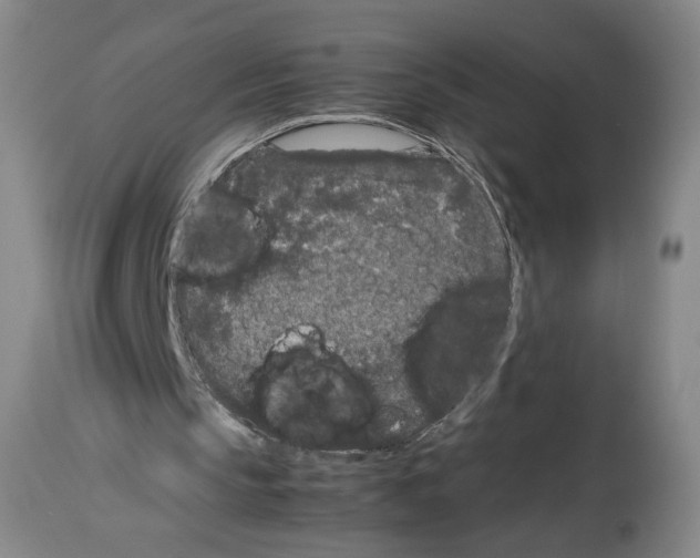 X0000113930145200911061227