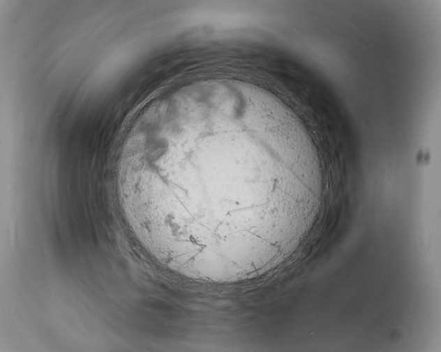 X0000113930146200911061227