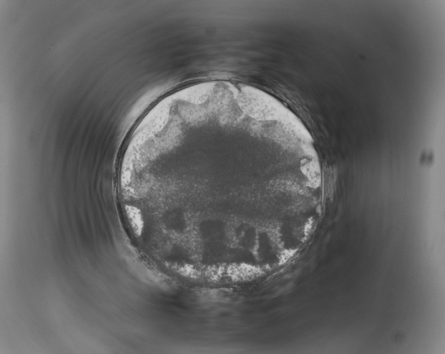 X0000113930147200911061227