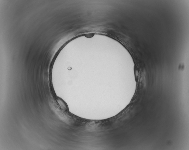 X0000113930148200911061227