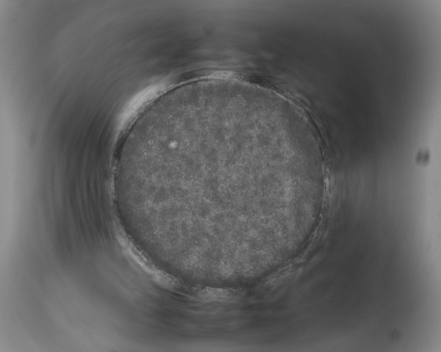 X0000113930149200911061227